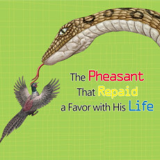 The Pheasant That Repaid a Favor with His Life